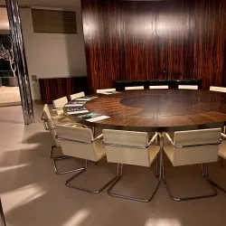 Villa Tugendhat - Slapanice