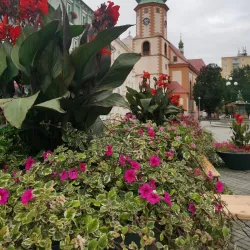 Church of St. Michael the Archangel - Sokolov