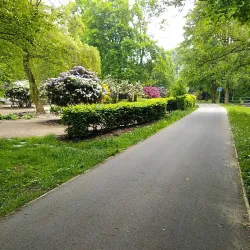 Nature Trails around Sokolov - Sokolov