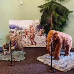 Sokolov Museum - Sokolov