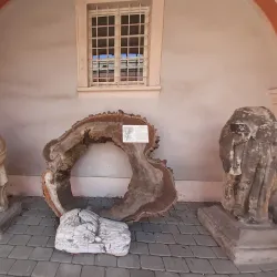 Sokolov Museum - Sokolov