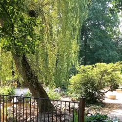 Sokolov Park - Sokolov