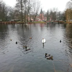 Sokolov Park - Sokolov