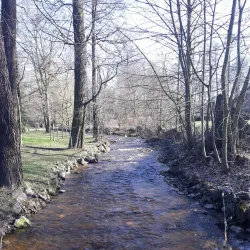 Sokolov Park - Sokolov