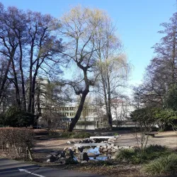 Sokolov Park - Sokolov