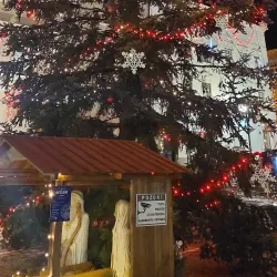 Historical Walking Tour of Šumperk - Sumperk