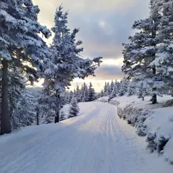 Jeseníky Mountains - Sumperk