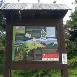 Jeseníky Mountains - Sumperk