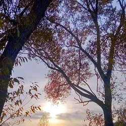 Park Pod Hájem - Sumperk