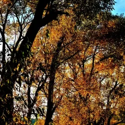 Park Pod Hájem - Sumperk