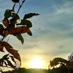 Park Pod Hájem - Sumperk