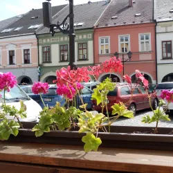 Old Town Hall - Svitavy