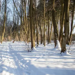 Svitavy River Walk - Svitavy
