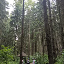 Svitavy River Walk - Svitavy