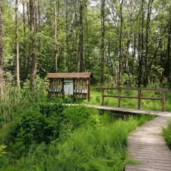 Svitavy River Walk - Svitavy