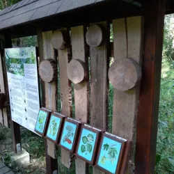 Svitavy River Walk - Svitavy