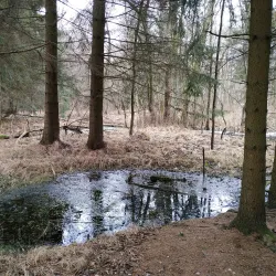 Svitavy River Walk - Svitavy