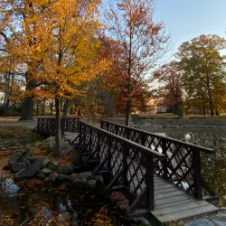 Svitavy Synagogue - Svitavy