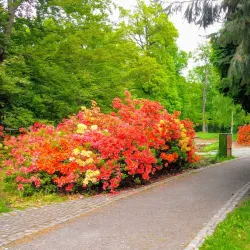 Svitavy Synagogue - Svitavy