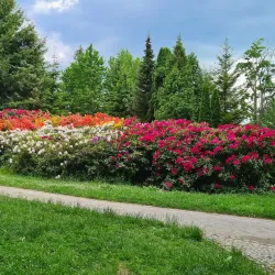 Svitavy Synagogue - Svitavy