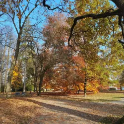 Svitavy Synagogue - Svitavy