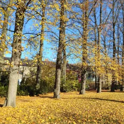 Svitavy Synagogue - Svitavy