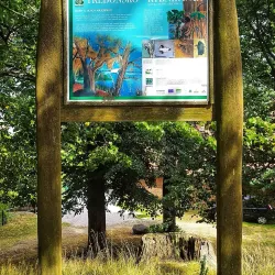 Svět Pond - Třeboň