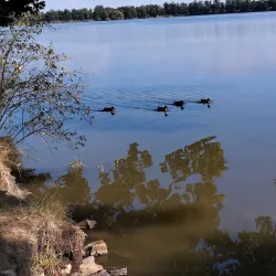 Svět Pond - Třeboň