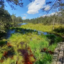 Třeboň Nature Reserve (Třeboňsko Protected Landscape Area) - Třeboň