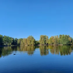 Třeboň Nature Reserve (Třeboňsko Protected Landscape Area) - Třeboň