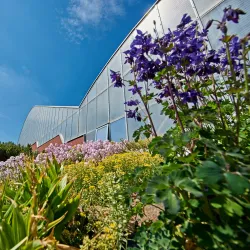 Botanical Garden Teplice - Teplice