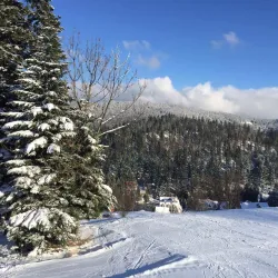 Beskydy Mountains - Trinec