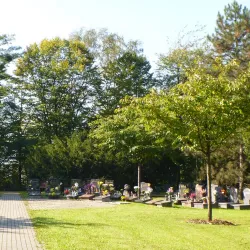 Church of St. Albert the Great - Trinec