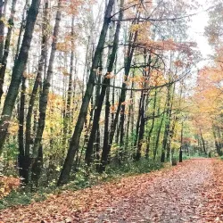 Park Pod Zámkem - Trinec