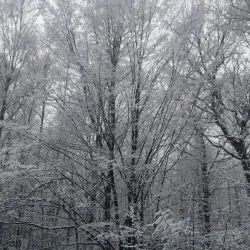 Park Pod Zámkem - Trinec