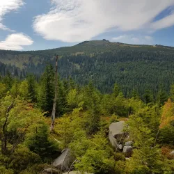 Krkonoše National Park - Trutnov