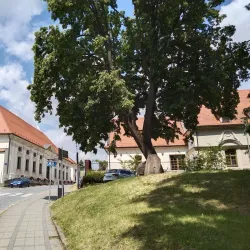 Jaroňkovo Square - Uhersky Brod