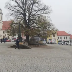 Masarykovo Square - Uhersky Brod