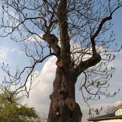 Park Pod Zámkem - Uhersky Brod