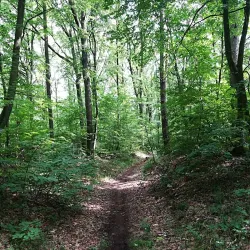 Walking and Hiking Trails - Uhersky Brod