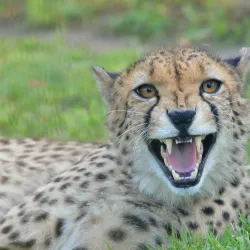 Usti nad Labem Zoo - Usti nad Labem