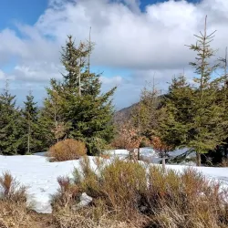 Beskydy Mountains - Valasske Mezirici