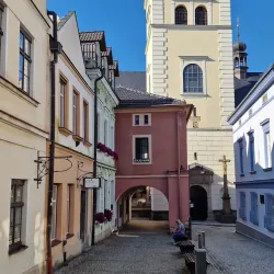 Church of the Assumption of the Virgin Mary - Valasske Mezirici
