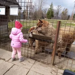 Valasske Mezirici Town Park - Valasske Mezirici