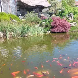 Valasske Mezirici Town Park - Valasske Mezirici