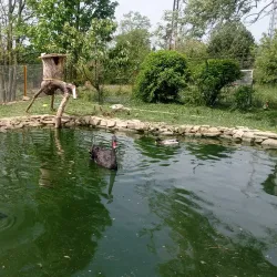 Valasske Mezirici Town Park - Valasske Mezirici