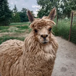 Valasske Mezirici Town Park - Valasske Mezirici