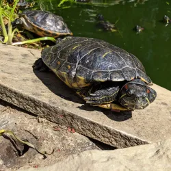 Valasske Mezirici Town Park - Valasske Mezirici
