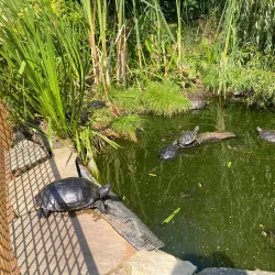 Valasske Mezirici Town Park - Valasske Mezirici