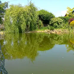 Valasske Mezirici Town Park - Valasske Mezirici